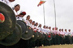 Die Volksgruppe Muong Bi in Hoa Binh feiert das traditionelle Tetfest - ảnh 1